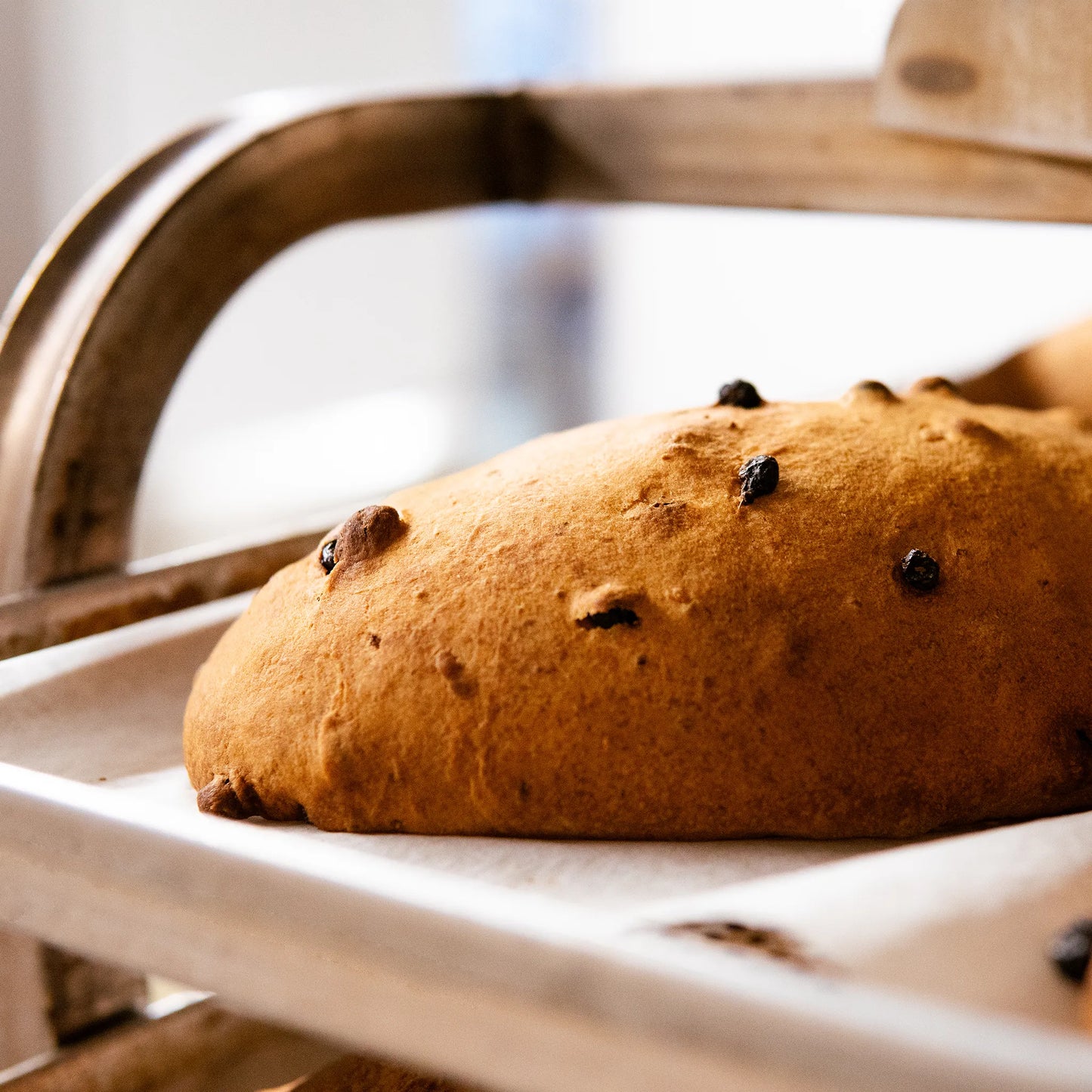 Frisch gebackener Christstollen