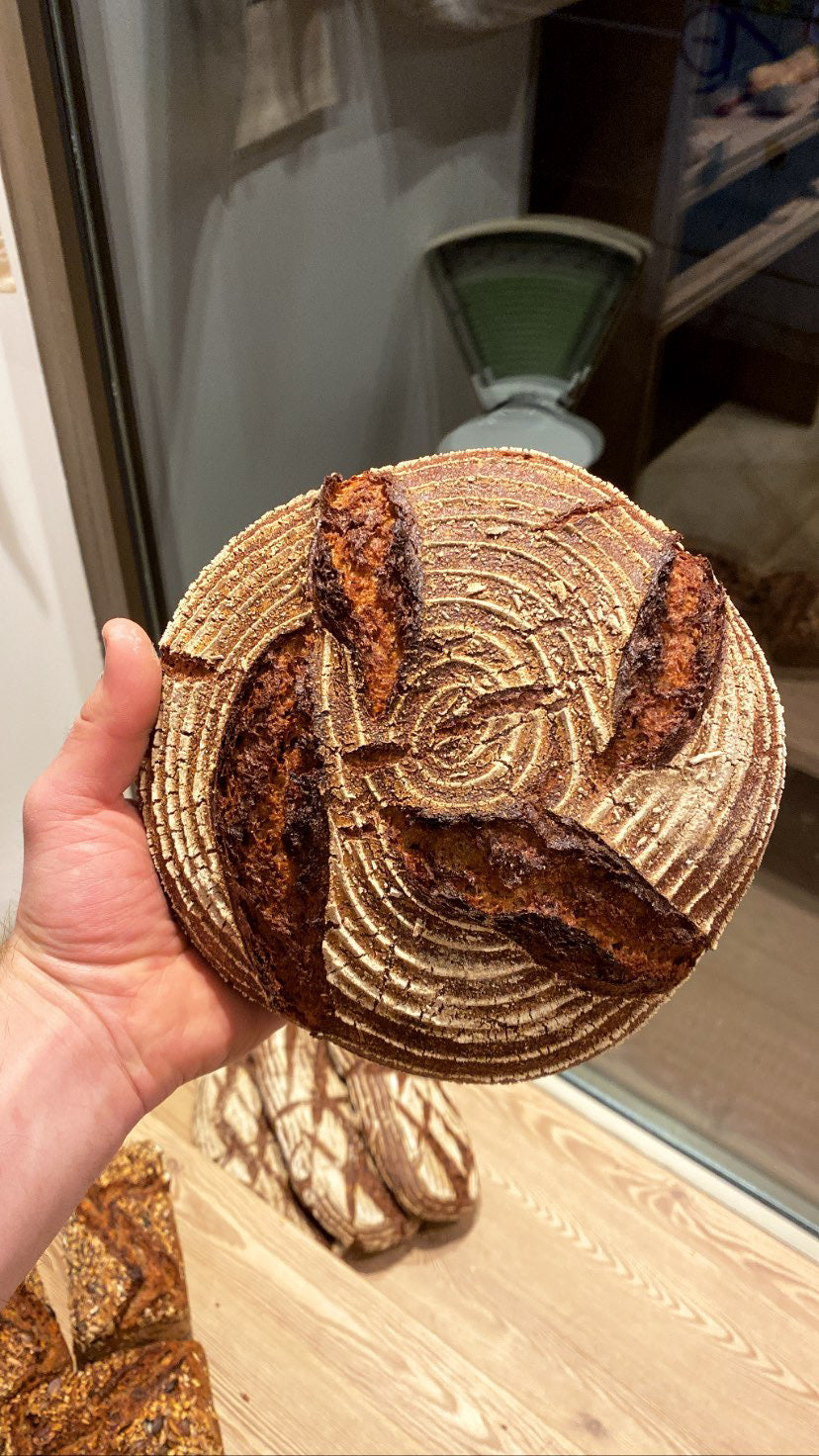 BULLE BROTBACKKURS