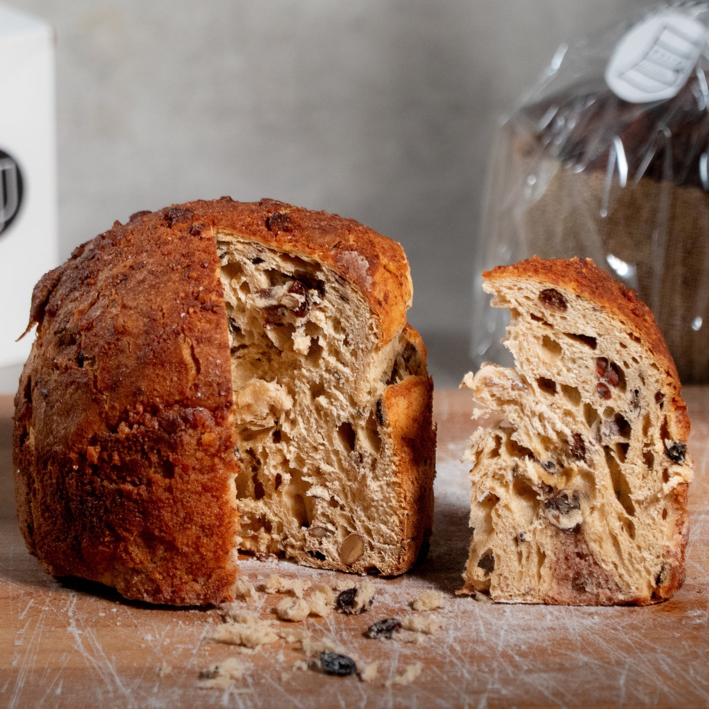 Bulle Panettone